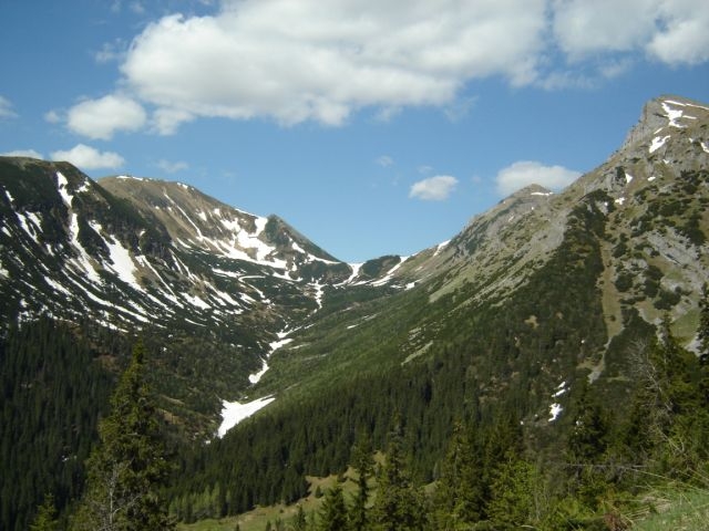 vysok
